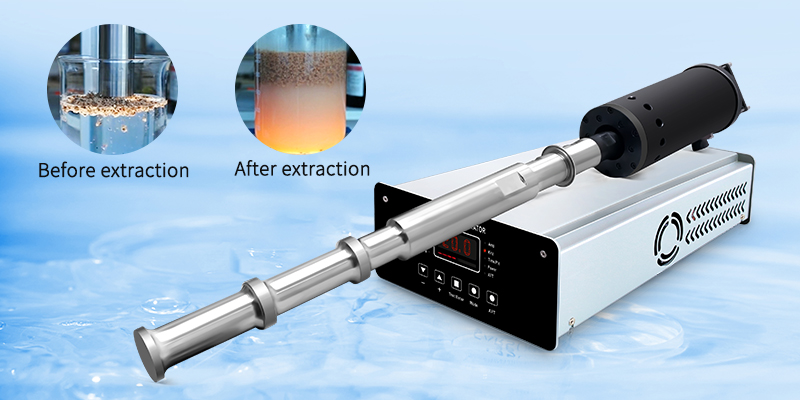 Wie wird die Sonde eines Ultraschallextraktors gewartet?